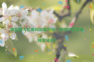 最新盛大私服网站新开网，游戏时装优惠独家福利？