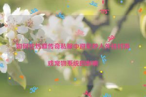 如何在热血传奇私服中避免秒人外挂对游戏宠物系统的影响