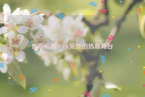 传奇私服：PK竞技的热血舞台