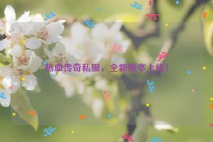 热血传奇私服，全新版本上线！