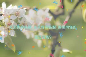 无天传奇私服_无天传奇私服_独领风骚的竞技战场？