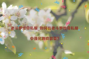 老斗罗传奇私服_如何在老斗罗传奇私服中强化游戏装备？