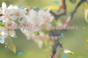 热血传奇私服客户如何选择最适合的战士职业提升游戏体验？