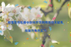 踏雪传奇私服中如何有效利用游戏天赋系统提升角色实力