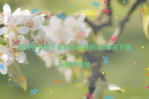 如何在无需下载热血传奇的sf的情况下提升游戏等级