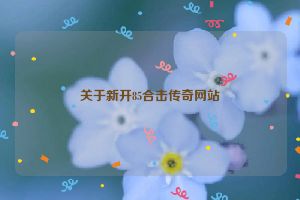 关于新开85合击传奇网站